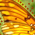 :iconfinnedartist: