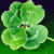 :iconfinnigan1443: