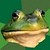 :iconfinniksa: