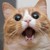 :iconfinnisnothome: