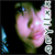 :iconFinnJoe: