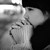 :iconfinny-fzf:
