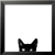 :iconfiona-leona: