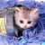 :iconfionnaart921: