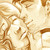 :iconfiore699: