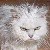 :iconfiq91: