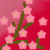 :iconfire-bird-lol: