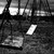 :iconfire-fly11: