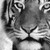 :iconfire-the-flame-kitty:
