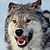 :iconfire16: