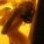 :iconfireabovewaterbelow: