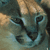 :iconfireaurora: