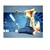 :iconfireball968: