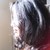 :iconfirebird20: