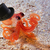 :iconfirebrand950: