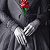 :iconfirecracker-sj: