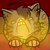 :iconfirefaceplz: