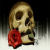 :iconfirefactorx: