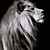 :iconfireferncreations: