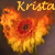 :iconfireflower12:
