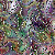 :iconfirefly-keiko:
