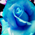 :iconfirefly213: