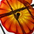 :iconfirefly91: