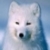 :iconfirefox1000: