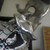 :iconfirefoxdemonlover11: