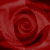 :iconfiregirl19: