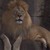 :iconfireheart19: