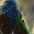 firejaller :iconfirejaller: