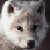 :iconfirekitty404: