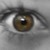 :iconfireliondf: