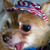 :iconfirelit-escapee: