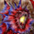 :iconfiremindk: