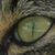 :iconfirenzey: