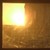 :iconfireonthewind: