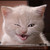 :iconfirerybubbles:
