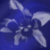 :iconfires-eyes: