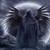 :iconfiresdawn: