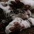 :iconfirespark15: