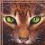 :iconfirestar28: