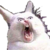 :iconfirestarly1: