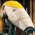 :iconfiretooth-the-cat: