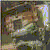 :iconfirewalker21: