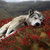 :iconfirewolf6400: