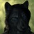:iconfirewolfblue: