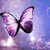 :iconfireworks1:
