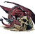 :iconfirgon: